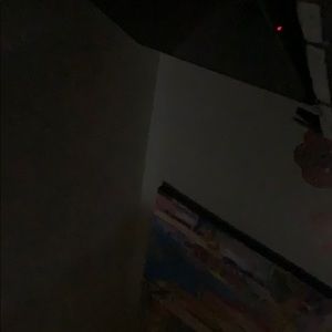 Meet your Posher, Zuri